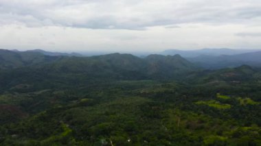 Tarım arazisi ve tarım arazisinin havadan görünüşü. Yeşil tepeleri ve tarlaları olan dağ manzarası.
