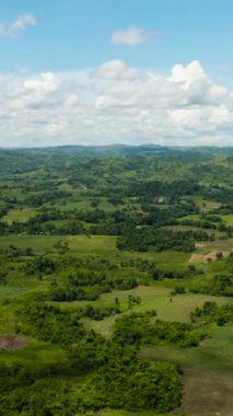 Valley with farmland and sugarcane plantations. Negros, Philippines