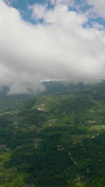 Tropikal dağ manzarası, palmiye ağaçları ve orman. Cebu Adası, Filipinler.