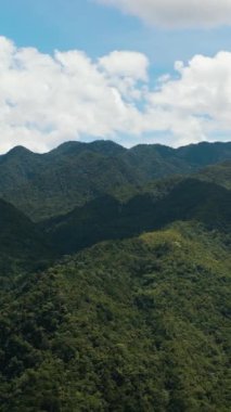 Mountains and hills with green vegetation and trees in the tropics. Negros, Philippines