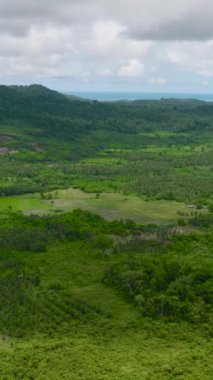 Yağmur ormanları olan dağ yamaçları ve tarım arazisi olan bir dağ vadisi. Palawan, Filipinler, Balabac.