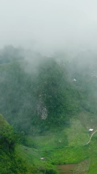 Vista Dall Alto Cime Montuose Colline Coperte Verde Vegetazione Nebbia — Video Stock