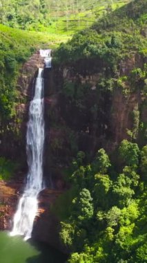 Çay tarlaları arasında dağlık bir vilayette bir şelale. Gartmore düşer. Maskeliya, Sri Lanka.