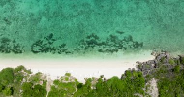 Palmiye ağaçları ve sakin denizle güzel kumlu sahil manzarası. Bantay Adası, Filipinler.