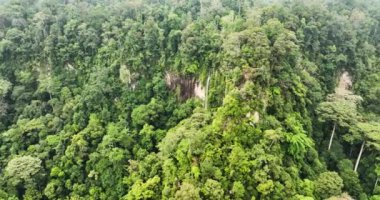 Ormanla çevrili bir dağ kanyonunda tropik bir şelale. Sumatra, Endonezya.