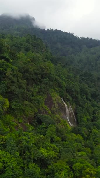Tropiska Bergskedjor Och Bergssluttningar Med Regnskog Sri Lanka — Stockvideo