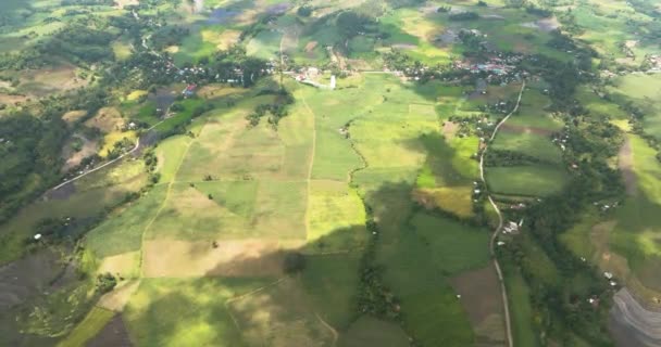 Blick Von Oben Auf Reisplantagen Und Landwirtschaftliche Flächen Der Landschaft — Stockvideo