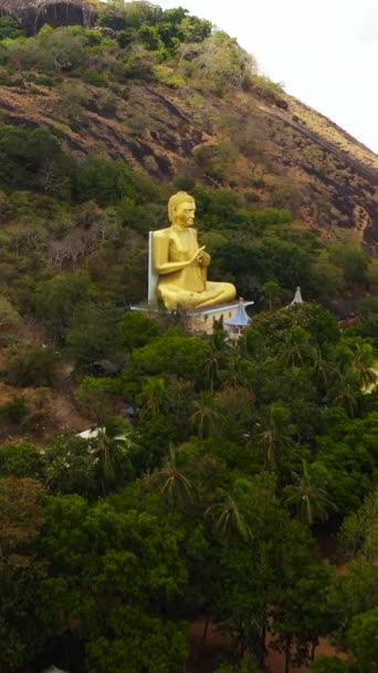 Buddha Statue Seated Buddha Rock Sri Lanka — Stockvideo