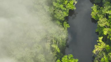 Yağmur ormanlarındaki nehirler bulutların arasından geçiyor. Tropik manzara ve orman. Borneo, Malezya.