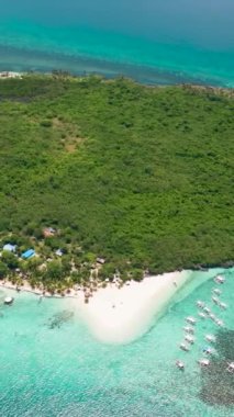 Adanın sahil manzarası, güzel bir plaj ve palmiye ağaçları. Virgin Adası, Filipinler.