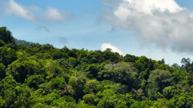 Dağların hava aracı yağmur ormanlarını, ağaçları ve mavi gökyüzünü bulutlarla kapladı. Sumatra, Endonezya.