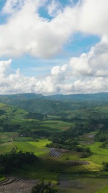 Bir dağ vadisinde tarım ve bitki yetiştirme. Zenciler, Filipinler