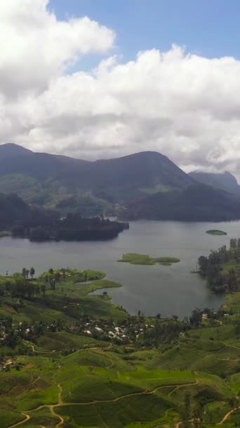 Vista Dall Alto Del Lago Montagna Tra Piantagioni Maskeliya Maussakelle — Video Stock