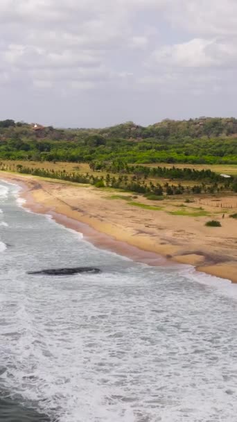 Güzel Bir Plaj Manzaralı Tropik Bir Manzara Tropik Plaj Manzarası — Stok video