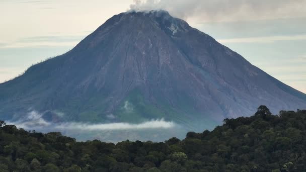 Bergen Met Tropisch Bos Mount Sinabung Sumatra Indonesië — Stockvideo