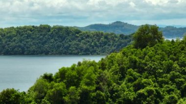 Orman kıyı şeridi ve adalarla dolu körfez. Borneo. Sabah, Malezya.