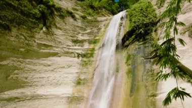 Yeşil bitki örtüsüyle çevrili tropikal bir ormanda Dao Şelalesi. Cebu, Filipinler.