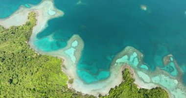 Adanın kıyısındaki koyda orman ile birlikte göl manzarası. Borneo, Sabah, Malezya.