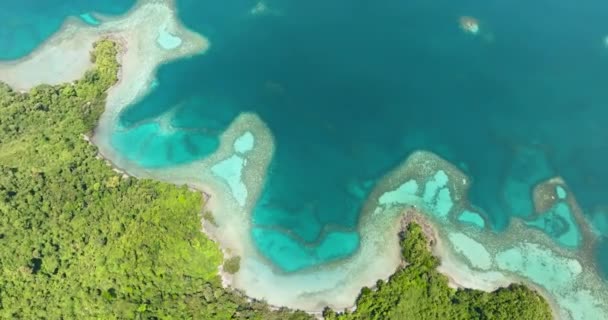 ジャングルと島の海岸の湾のラグーンに関する空中ビュー ボルネオ マレーシア — ストック動画
