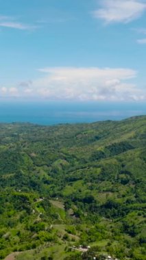 Tropik bölgelerde tarım arazisi ve pirinç tarlaları olan kırsal alan manzarası. Zenciler, Filipinler