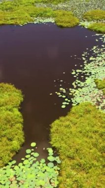 Aerial drone of Wetlands among the jungles in the national park of Sri Lanka.