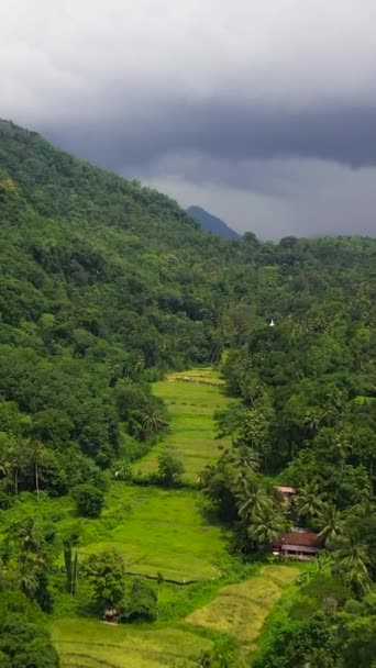 スリランカの山岳地方にあるジャングルと農地を持つ山岳地帯の航空無人機 バーティカルビデオ — ストック動画
