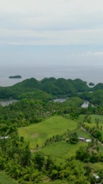 Tropik bölgelerdeki tarım arazilerinin insansız hava aracı. Tarım arazisi ve pirinç tarlaları. Zenciler, Filipinler