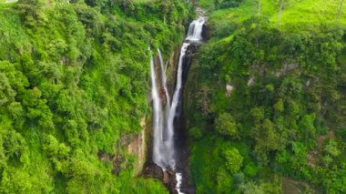 Yeşil ormanda güzel bir şelale. Dağ ormanında Puna Ella Şelalesi, Sri Lanka.