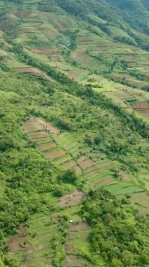 Aerial view of valley with farmland and agricultural land in mountainous area. Negros, Philippines