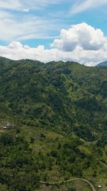 Yeşil tropikal bitki örtüsüyle dağ sırasının en üst görüntüsü. Zenciler, Filipinler
