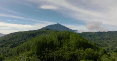 Tropik dağ sırası ve dağ yamaçlarında yağmur ormanları. Sumatra, Endonezya.