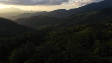 Gün batımında ormanla kaplı dağ tepelerinin havadan görünüşü. Sri Lanka.