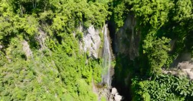 Tropik dağ ormanlarındaki Şelale manzarası. Zenciler, Filipinler.