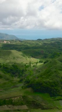 Tarım arazisi ve tarım arazisinin havadan görünüşü. Yeşil tepeleri ve tarlaları olan dağ manzarası. Cebu Adası, Filipinler.