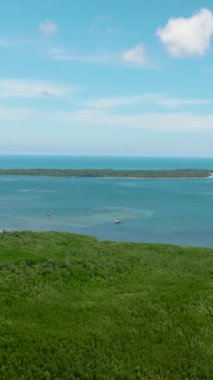 Aerial view of rainforest and jungle on the coast of the island. Balabac, Palawan. Philippines.