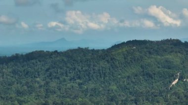 Orman ve yağmur ormanlarıyla hava manzarası. Sabah, Borneo, Malezya.