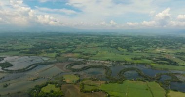 Pirinç tarlaları ve tarım arazileri arasındaki nehrin havadan görünüşü. Tarım arazisi. Hinigaran Nehri. Zenciler, Filipinler