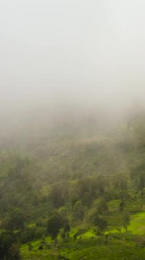 Aerial view of Houses and village among tea plantations in clouds and fog. Sri Lanka.