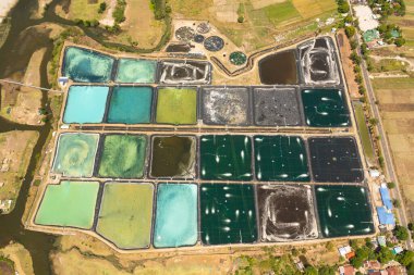 Pompa 'nın hava aracı Filipinler' deki bir karides çiftliğinde gölet açıyor. Havalandırmalı karides çiftliği..