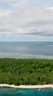 Tropik Caxisigan adası ve denizde kumlu bir sahil. Balabac, Palawan. Filipinler.