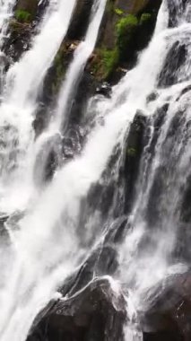 Tropikal ormanda şelale. St. Clair Şelalesi, Sri Lanka. Dikey video.