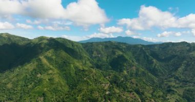 Dağlardaki yeşil yağmur ormanlarının ve ormanların insansız hava aracı. Zenciler, Filipinler