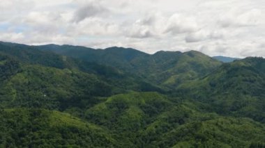 Tropiklerdeki yeşil bitki örtüsü ve ağaçlarla dağların ve tepelerin havadan görünüşü. Sumatra, Endonezya.