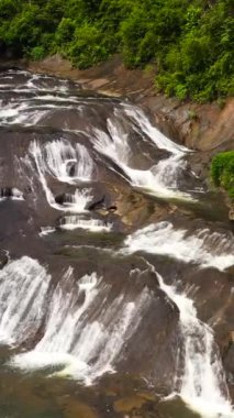 Yeşil bitki örtüsüyle çevrili tropikal bir ormanda şelale. Dağ ormanında Kirindi Şelalesi. Sri Lanka. Dikey video.