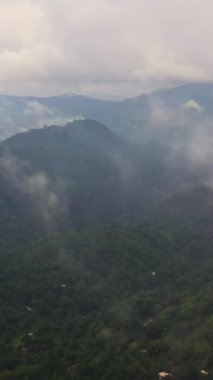 Yağmur ormanı ve bulutlu dağların havadan görünüşü. Dağ manzarası. Kandy, Sri Lanka. Dikey video.