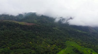 Dağlık arazide ekinleri olan tarım ve tarım arazisi..