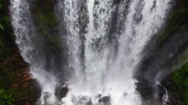 Tropikal bir ormanda şelale. Vernon Dağı, Sri Lanka.