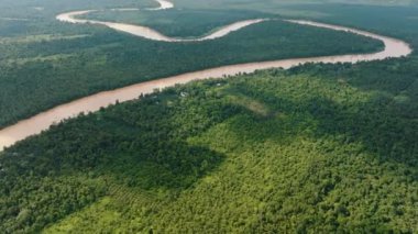 Yağmur ormanları ve ormanların arasındaki Kinabatangan nehrinin havadan görünüşü. Borneo, Malezya.