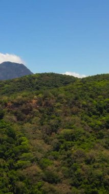 Dağ manzarası: dağ yamaçları yağmur ormanları ve orman manzarasıyla kaplı. Dikey video.