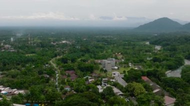 Orman ve yağmur ormanları arasındaki vadi manzarası. Bukit Lawang. Sumatra. Endonezya.